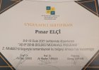 Uzm. Psk. Dan. Pınar ELÇİ Psikoloji sertifikası