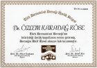 Doç. Dr. Özlem Karadağ Köse Dermatoloji sertifikası