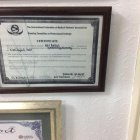 Op. Dr. Atıl Aktaş Kadın Hastalıkları ve Doğum sertifikası