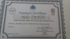 Uzm. Kl. Psk. Aydın Erincik Psikoloji sertifikası