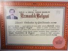 Op. Dr. Mehmet Mazlum Turgut Kadın Hastalıkları ve Doğum sertifikası