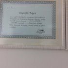 Prof. Dr. Kemal Görür Kulak Burun Boğaz hastalıkları - KBB sertifikası