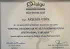 Uzm. Psk. Ayşegül Özkan Uzun Psikoloji sertifikası