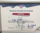 Dyt. Duygu Yıldırım Sökmen Diyetisyen sertifikası