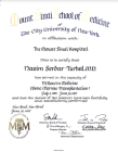 Prof. Dr. Serdar Turhal Tıbbi Onkoloji sertifikası