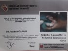 Op. Dr. Alper Mete Uğurlu Plastik Rekonstrüktif ve Estetik Cerrahi sertifikası