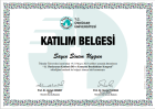 Dil ve Konuşma Terapisti Sinem Uygun Dil Konuşma Bozuklukları sertifikası