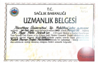 Prof. Dr. Ayşe Adin Selçuk Kulak Burun Boğaz hastalıkları - KBB sertifikası
