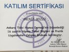 Prof. Dr. Deniz Ulaş Kadın Hastalıkları ve Doğum sertifikası