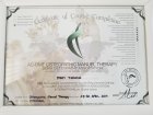 Fzt. Mert Tırnova Fizyoterapi sertifikası