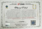 Uzm. Kl. Psk. Murat Polat Psikoloji sertifikası