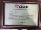 Op. Dr. Emine Aylin Totan Kadın Hastalıkları ve Doğum sertifikası