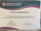 Op. Dr. Nuray Kitapçıoğlu Kadın Hastalıkları ve Doğum sertifikası