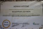 Psk. Dan. Ayşenur Zeybek Arslan Psikoloji sertifikası