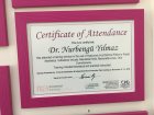 Dr. Dt. Nurbengu Yilmaz Diş Hekimi sertifikası