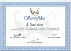 Doç. Dr. Cemal Kara Genel Cerrahi sertifikası