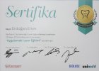 Dt. Erdoğan Ertek Diş Hekimi sertifikası