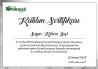 Uzm. Psk. Dan. Kübra İpçi Psikoloji sertifikası