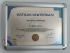Dt. Tuğba Kablan Diş Hekimi sertifikası