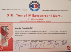 Dr. Pınar Eroğlu Ulusoy Plastik Rekonstrüktif ve Estetik Cerrahi sertifikası