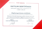 Klinik Psikolog  Mehmet Emin Kızgın Psikoloji sertifikası