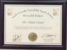 Op. Dr. Şafak Öztürk Genel Cerrahi sertifikası