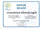Dr. Cemalettin Ekmekcioğlu Geleneksel ve Tamamlayıcı Tıp sertifikası