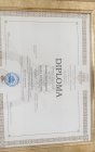 Dt. Sülbiye Odabaşı Diş Hekimi sertifikası