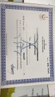 Op. Dr. Nazlı Korkmaz Kadın Hastalıkları ve Doğum sertifikası