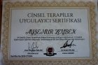 Psk. Dan. Ayşenur Zeybek Arslan Psikoloji sertifikası