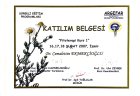 Dr. Cemalettin Ekmekcioğlu Geleneksel ve Tamamlayıcı Tıp sertifikası