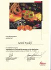 Prof. Dr. Semih Keskil Beyin ve Sinir Cerrahisi sertifikası
