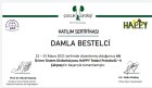 Fzt. Damla Bestelci Fizyoterapi sertifikası