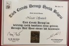 Op. Dr. Necati Şentürk Genel Cerrahi sertifikası