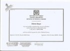 Op. Dr. Didem Kurban Kadın Hastalıkları ve Doğum sertifikası
