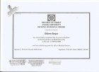 Op. Dr. Didem Kurban Kadın Hastalıkları ve Doğum sertifikası