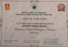 Op. Dr. Fatih Arslan Kulak Burun Boğaz hastalıkları - KBB sertifikası