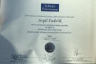 Klinik Psikolog  Serpil Endirlik Psikoloji sertifikası
