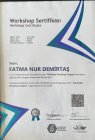Dyt. Fatma Nur Demirtaş Diyetisyen sertifikası