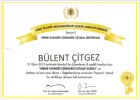 Prof. Dr. Bülent Çitgez Genel Cerrahi sertifikası
