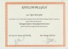 Uzm. Dr. Figen Karaceylan Çakmakçı Çocuk ve Ergen Psikiyatristi sertifikası