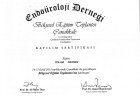 Prof. Dr. Tolga Akman Üroloji sertifikası