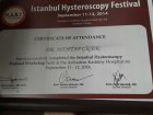 Op. Dr. Mehtap Çiçek Kadın Hastalıkları ve Doğum sertifikası
