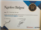 Dt. Damla Zenar Diş Hekimi sertifikası