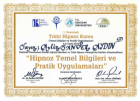 Uzm. Kl. Psk. Aylin Şanver Aydın Psikoloji sertifikası