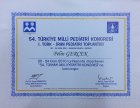 Uzm. Dr. Pelin Akgün Gerçek Çocuk Sağlığı ve Hastalıkları sertifikası