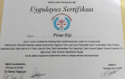 Uzm. Psk. Dan. Pınar ELÇİ Psikoloji sertifikası
