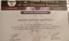 Op. Dr. Medine Meltem Adalıoğlu Kadın Hastalıkları ve Doğum sertifikası