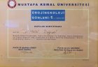 Op. Dr. Telal Doğruel Kadın Hastalıkları ve Doğum sertifikası