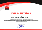 Dt. Ayşen Büke Şen Diş Hekimi sertifikası